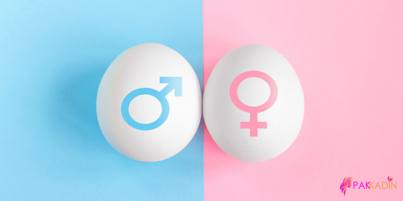 yumurtlama takvimi ile cocugun cinsiyeti belirlenebilir mi 2020 asdfg 123