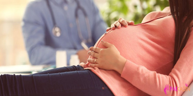 Hamileliğin 23. Haftasında Embriyo Gelişimi